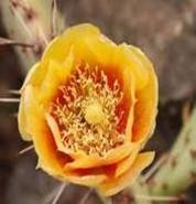 Personal Devolpment: Personal Information