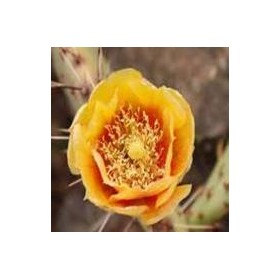 Personal Devolpment: Personal Information